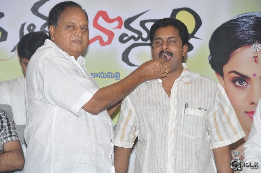 Brother-Of-Bommali-Movie-Success-Meet